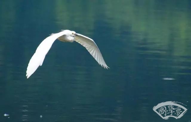 自由自在的空間（資料圖）